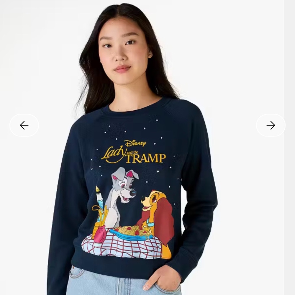 Disney Lady and the Tramp Navy Sweater